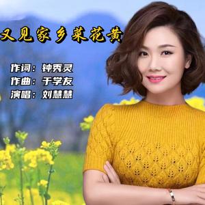 又见家乡菜花黄