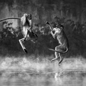 Simian Sentiment (feat. Mr. Poser, Skizza & Birchtree|Explicit)