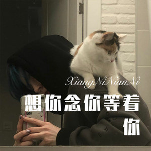 少一点天份 (Remix)