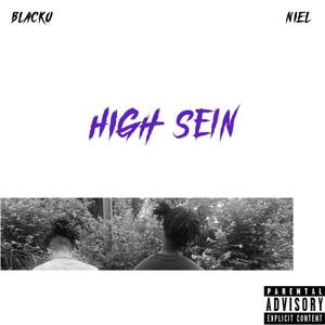 High sein (feat. Jellie Niel) [Explicit]