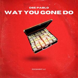 Wat you gone do (Explicit)