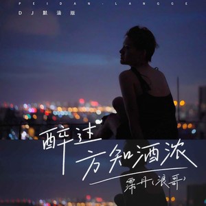 醉过方知酒浓 (DJ默涵版)