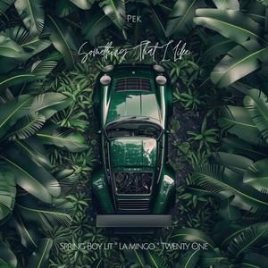 Something That I Like (STIL) (feat. Spring Boy Lit, La Mingo & Twenty One) (Explicit)