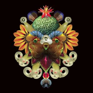 How to Hunt a Giant Butterfly - Rework