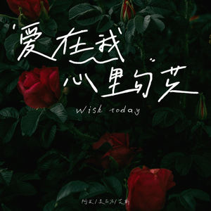 爱在我心里勾芡 (wish today)
