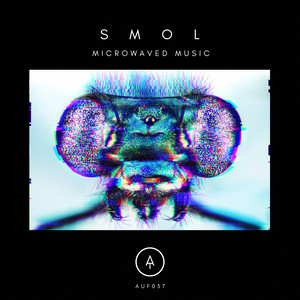 Microwaved Music