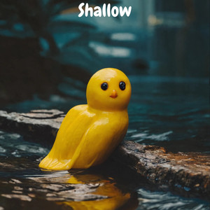 Shallow