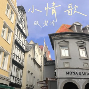 张碧涛 - 小情歌