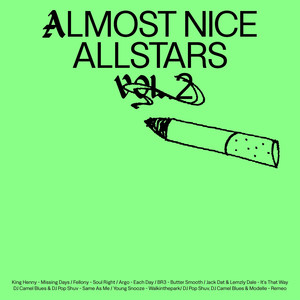 Almost Nice Allstars Vol. 2