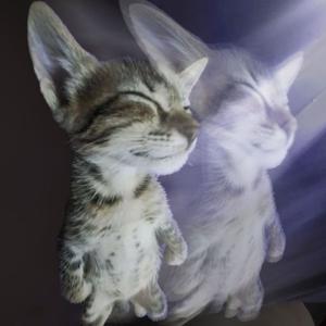 bound.mp3 (feat. SeeYouTmr|Explicit)