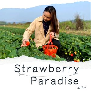 Strawberry Paradise