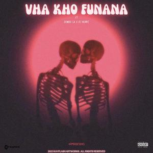 Vha khou Funana (feat. Dombo Sa)