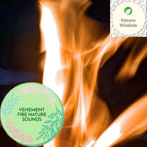 Vehement Fire Nature Sounds