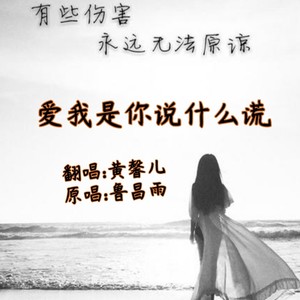 黄馨儿 - 爱我是你说的谎