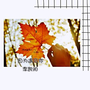 因为遇见你