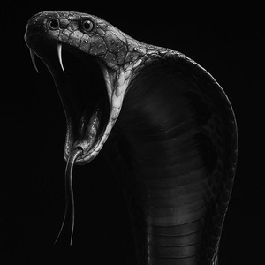 Próprio Veneno (Explicit)