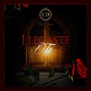Llegaste Tu