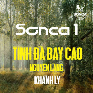 Tình Đã Bay Cao (1971)