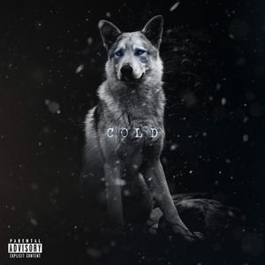 Cold(feat. Izzy Locks & Naveisdead) (Explicit)