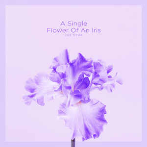 붓꽃 한 송이 (A Single Flower Of An Iris)