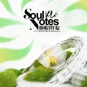 Soul Notes, Vol. 6