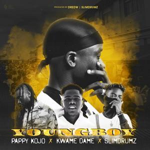 Young Boy (feat. Pappy Kojo, Kwame Dame & SlimDrumz)