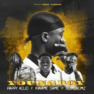Young Boy(feat. Pappy Kojo, Kwame Dame & SlimDrumz)