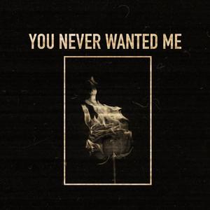 You Never Wanted Me (Explicit)