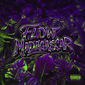 Flow Madagascar (Explicit)