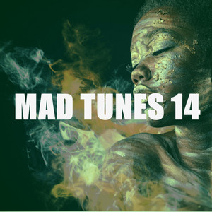 MAD TUNES 14