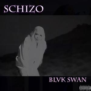 Schizo (Explicit)