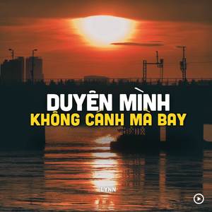 Duyên Mình Không Cánh Mà Bay (Lofi)