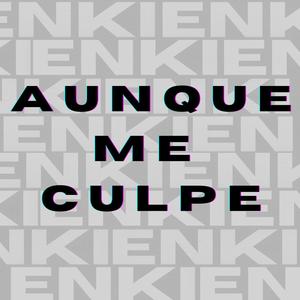 AUNQUE ME CULPE (Explicit)
