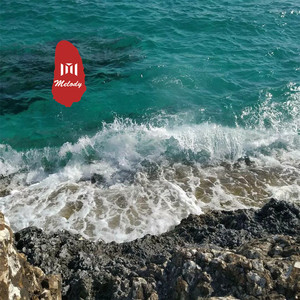 酒吧蹦迪专用 (DJ版)