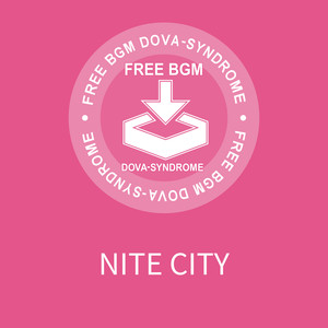 NITE CITY
