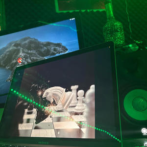 In$titutionalized (Explicit)