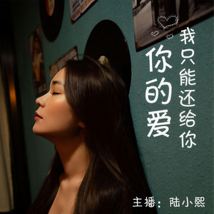 你的爱我只能还给你