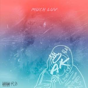 Much Luv (Explicit)