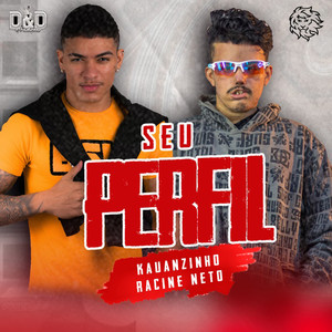 Seu Perfil (Arrocha)