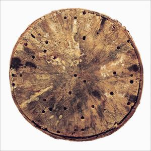 ほろろ逍遥 (ほろろ逍遙)