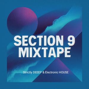 Section 9 Of DEEEP & Electronic House Lose Beles Presents