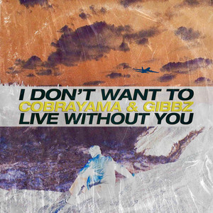 I Don't Want to Live Without You