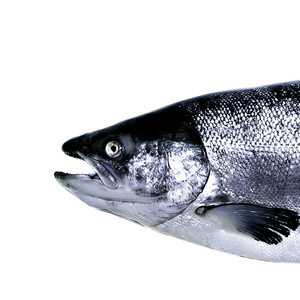 What You Want (Explicit)