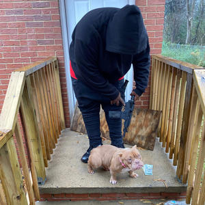 Snaccs Vs No k (Explicit)