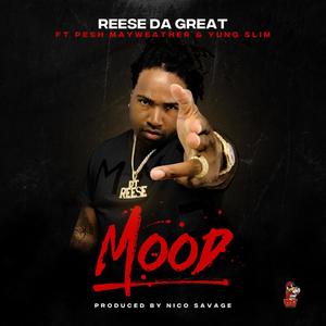 Mood(feat. Pesh Mayweather & Yung Slim) (Explicit)