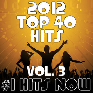 2012 Top 40 Hits, Vol. 3