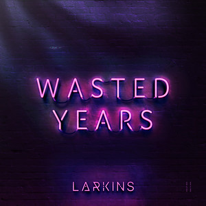 Wasted Years