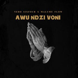 Awu ndzi voni (feat. Malume Flow)