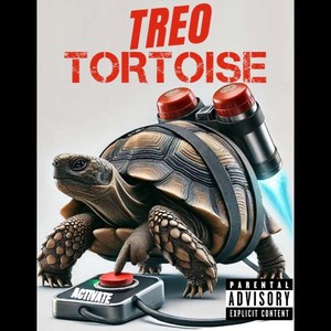 Tortoise (Explicit)