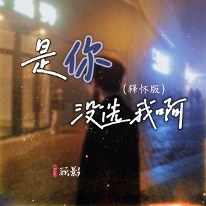 是你没选我啊 (释怀版)